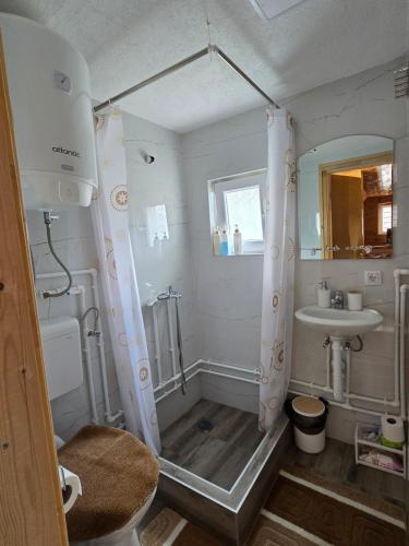 a bathroom with a shower and a sink at Cottage Martina in Žabljak