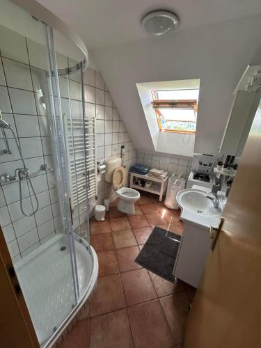 a bathroom with a shower and a toilet and a sink at MMMM in Bovec
