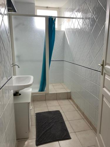 a bathroom with a shower and a sink and a toilet at BOISSET, Grande maison familiale avec vue sur les Pyrénées in Castel-Sarrazin