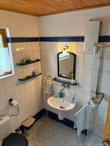 a bathroom with a sink and a shower at Amaleczka Woda Las in Podjazdy