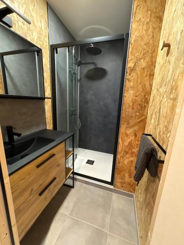 a bathroom with a sink and a shower at Maison en bois moderne in Pléneuf-Val-André