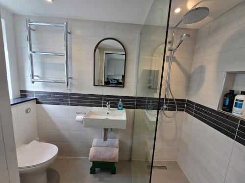 a bathroom with a toilet and a sink and a shower at Spacious Studio - Bicester Village & Silverstone in Middleton Stoney