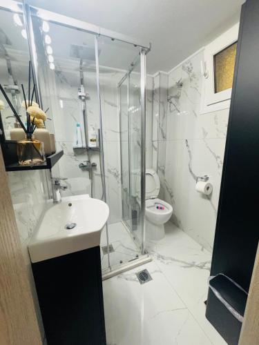 a bathroom with a shower and a sink and a toilet at Coastal Heaven in Neoi Epivates