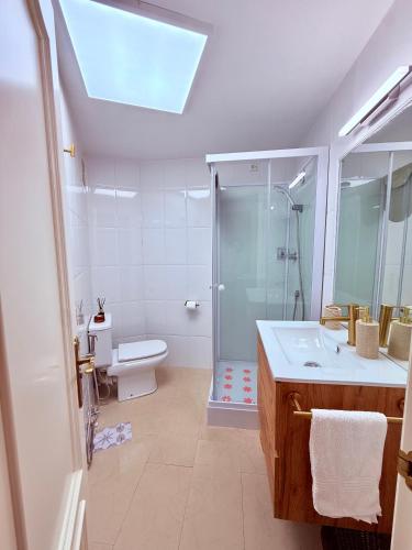 a bathroom with a shower and a sink and a toilet at Brisa Mediterránea Torrox Costa in Torrox Costa