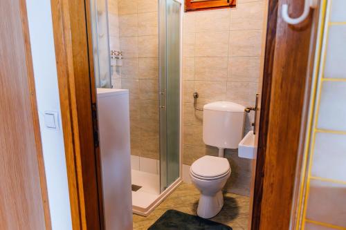 a small bathroom with a toilet and a shower at Apartment ZARJA in Dobrnič