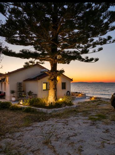 a house under a tree on the beach at sunset at Villa Harmonia II-Seafront Retreat in Livadáki