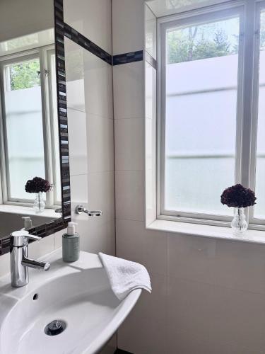 a white bathroom with a sink and a window at Kronovall Park Residence in Skåne-Tranås