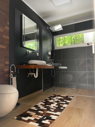 a bathroom with a toilet and a sink and a mirror at Eifelloft&Spa in Adenau