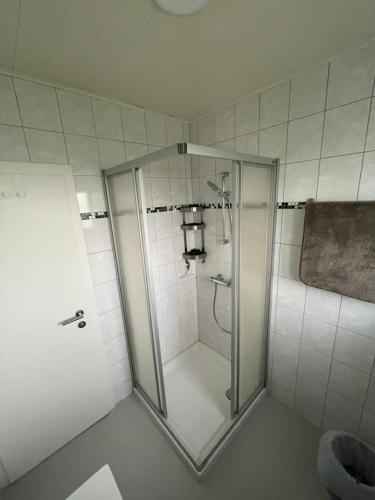 a shower with a glass door in a bathroom at GrafOne Apartment in Waizenkirchen