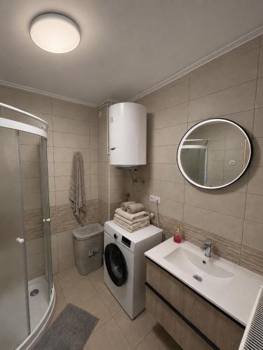 a bathroom with a washing machine and a sink at Bohinj Countryside House in Bohinjska Bistrica