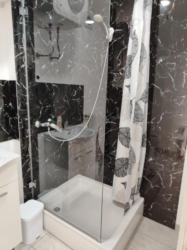 a bathroom with a shower with a tub and a toilet at Apartmani Lohovo 2 in Lohovo