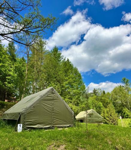 two green tents in a field with trees at Sanovia Glamping in Reczpol