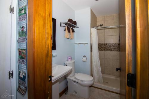 a bathroom with a toilet and a tub and a shower at The Old Lantern Inn in Charlotte