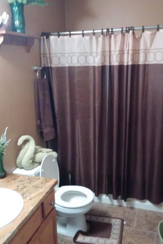 a bathroom with a shower curtain and a toilet at Nijsha Enterprise in Jonesboro