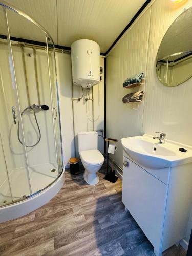 a bathroom with a shower and a toilet and a sink at Schlaffass im Apfelhain in Hohenraunau