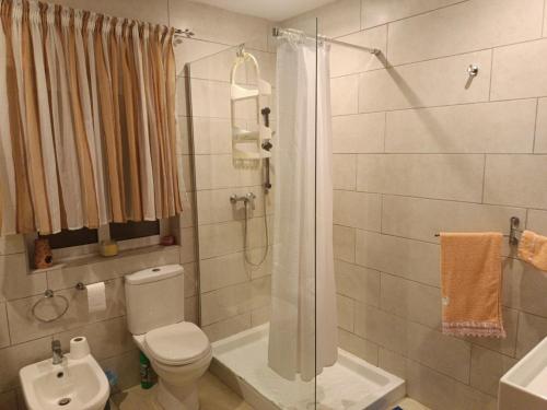 a bathroom with a shower and a toilet and a sink at Tan-Nahal Court Apartment, Sannat Gozo in Sannat
