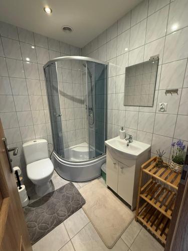 a bathroom with a shower and a toilet and a sink at Sosnowe Zacisze in Zwierzyniec