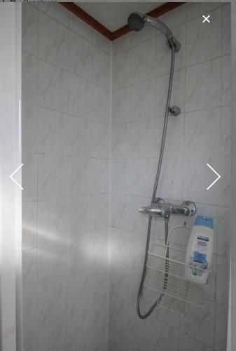 a shower with a shower head in a bathroom at Champagnehuisje in Voorthuizen
