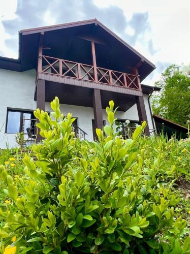 a house behind a bush with a tree at Котедж Villagoria з теплим басейном in Slavske