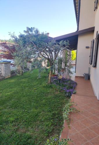 a tree in a yard next to a building at Alveare 27 in Monticelli Brusati