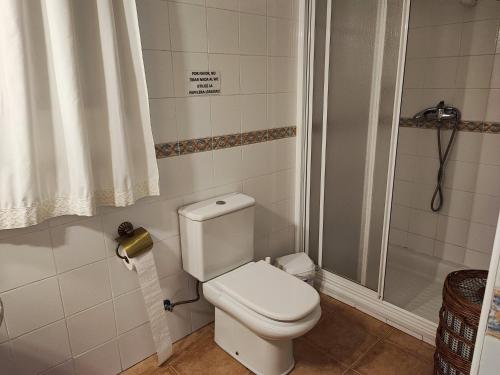 a bathroom with a toilet and a shower at Casa Rural Paraje La Venta in Pliego
