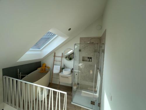 a bathroom with a shower and a toilet and a skylight at Chambre haute in Eupen