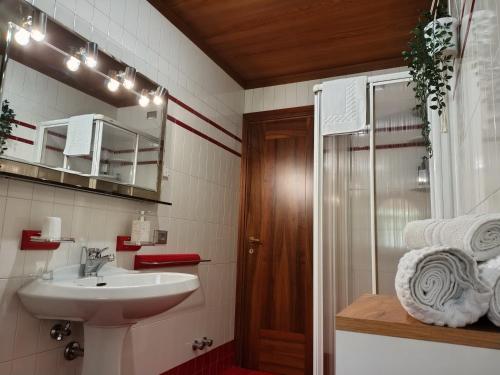 a bathroom with a sink and a mirror at B&B La Pecora Nera in Belluno