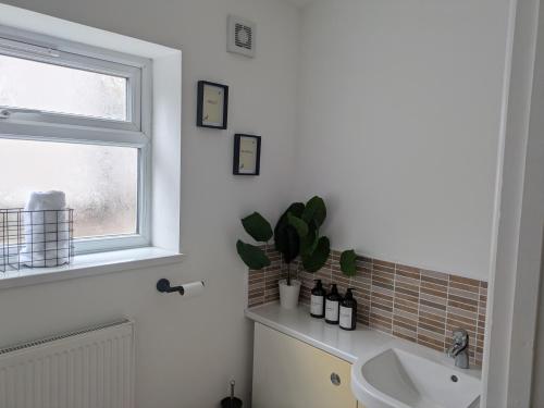 a bathroom with a sink and a window at Grange Retreat in Pontnewydd