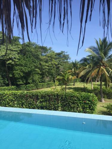 帕洛米諾的住宿－Casa Carey，一座棕榈树环绕的游泳池