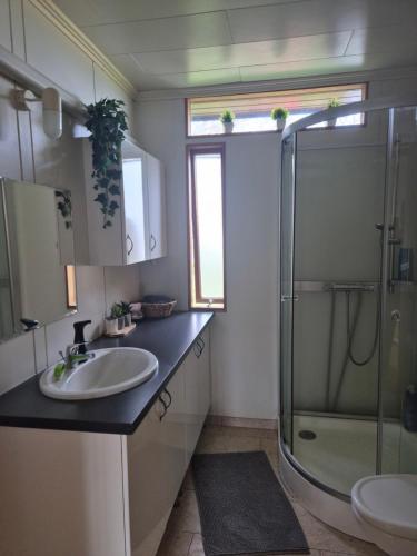 a bathroom with a sink and a shower at Miðjanes Reykhólahrepp in Reykhólar
