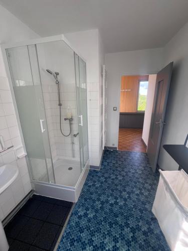 a bathroom with a shower and a sink at Le Gîte de Saint Romans in Saint-Romans-lès-Melle