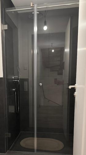 a shower with a glass door in a bathroom at ESER - Haus am Vogesenblick in Bad Bellingen