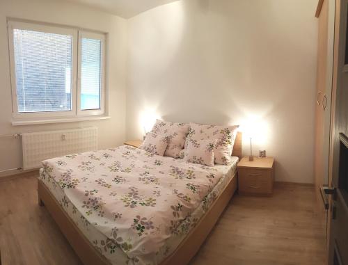 a bedroom with a bed and a window at Apartman Anro in Kanianka