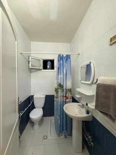 a small bathroom with a toilet and a sink at Dar KAMOUN - 2BR Apts with 5G WiFi & Parking, Houmt Souk & Corniche in Houmt Souk