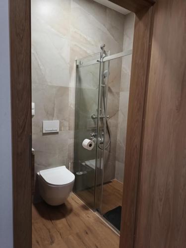 a bathroom with a toilet and a glass shower at Strumykowa 3 in Swornegacie