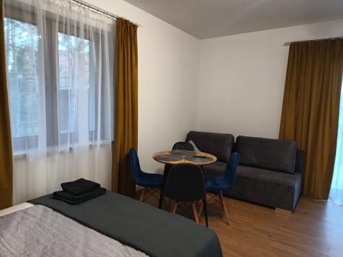 a bedroom with a bed and a couch and a table at Strumykowa 3 in Swornegacie