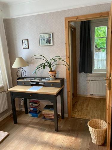 ein Schreibtisch mit einer Topfpflanze darauf in einem Zimmer in der Unterkunft Mühlenwohnung in Boppard