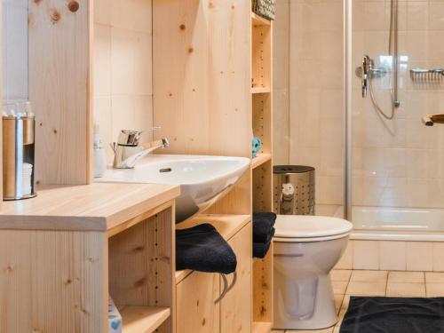 a bathroom with a sink and a toilet and a shower at Im Bayerischen Wald in Viechtach