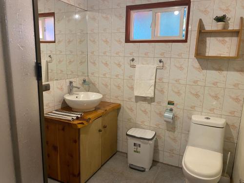 a bathroom with a sink and a toilet at Hostel Raíz Del Pillán in Pucón