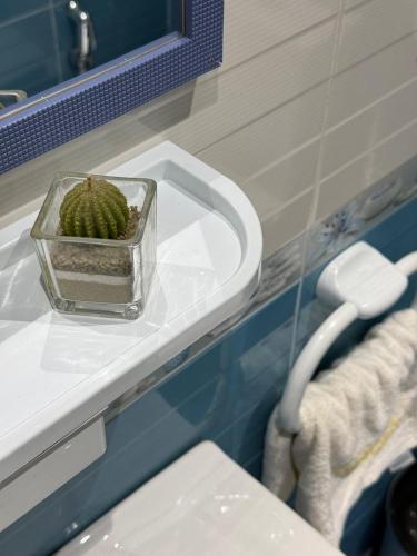 a cactus in a glass bowl on a bathroom sink at APARTAMENTOS ALBATROS in Asilah