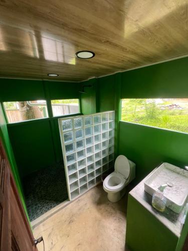 a green bathroom with a toilet and two windows at Casa Aloe in Pavones