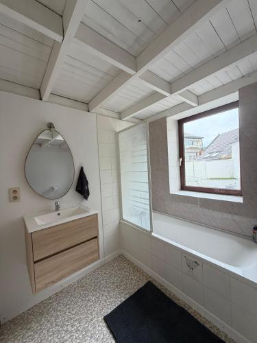 a bathroom with a mirror and a sink and a window at Le Studio Central in Huy