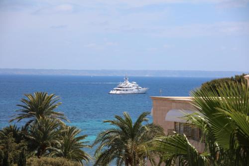 a cruise ship in the ocean with palm trees at Hotel Son Caliu Spa Oasis in Palmanova