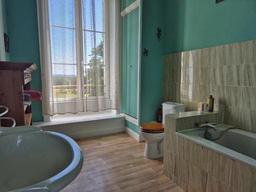 a bathroom with a tub and a toilet and a window at Domaine de Savignac in Chabanais