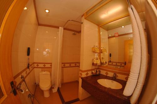 a bathroom with a sink and a toilet and a mirror at Mehran Hotel Karachi in Karachi