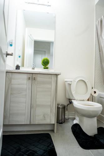 a bathroom with a toilet and a sink and a mirror at Hiltons Villa in Brampton