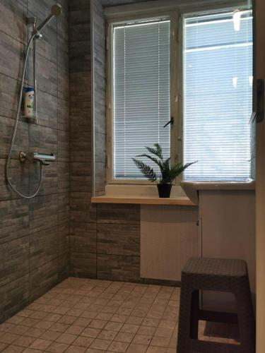 a bathroom with a shower and a window with a plant at Aliupseerikerho in Kauhava