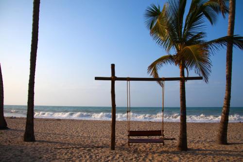 a wooden bench sitting on top of a sandy beach at Aite Eco Resort in Palomino