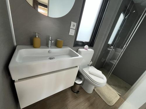 a bathroom with a sink and a toilet and a mirror at Cseresznyés Házikók in Lipót