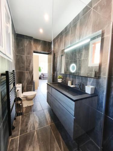 a bathroom with a sink and a toilet at Appartement Pinede Man Yelle in Sanary-sur-Mer